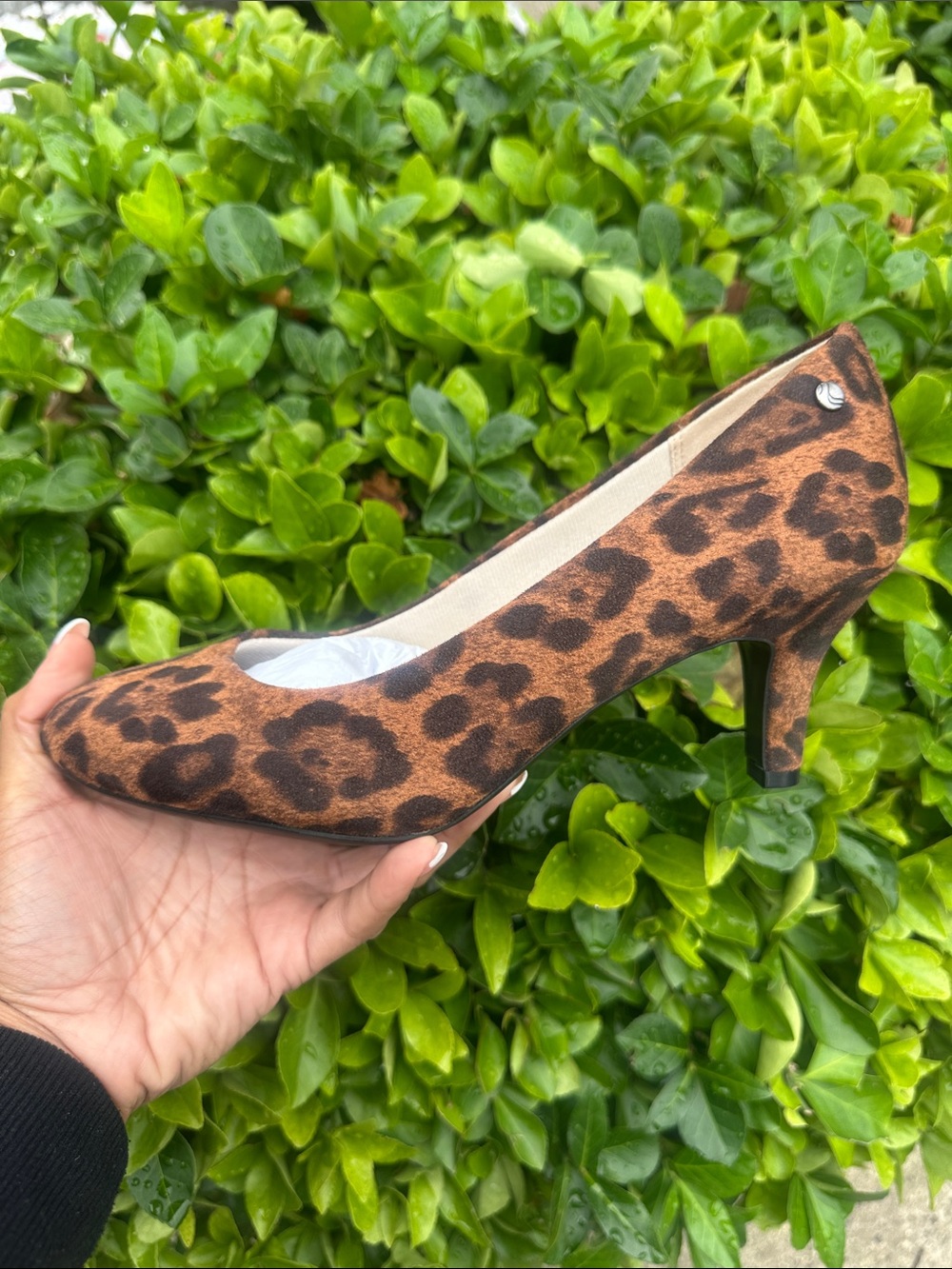 Life Stride Leopard Print Kitten Heel Pumps - Brown/Black